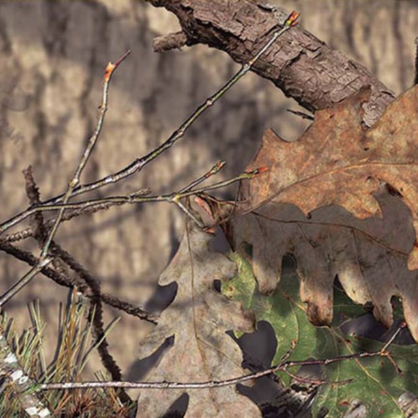 Mossy Oak Break-Up Country camo pattern for Kohler generator shell